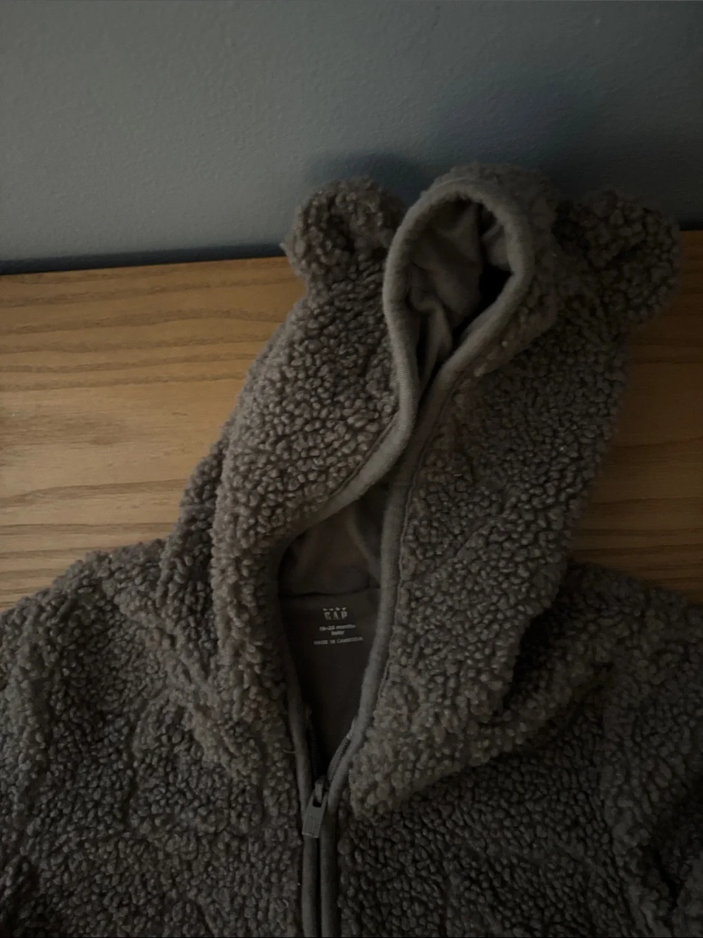 GAP soft teddy
